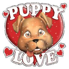 puppy luv 