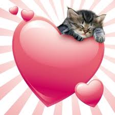 Kitty luv