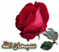 الحمد لله