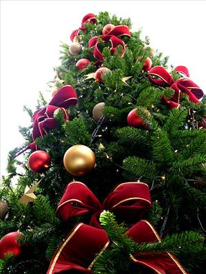 x-mas Tree