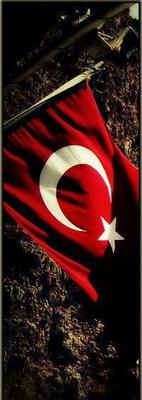 Şanlı Türk bayrağı