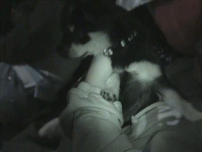 Puppy Love