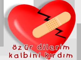 Özür Dilerim