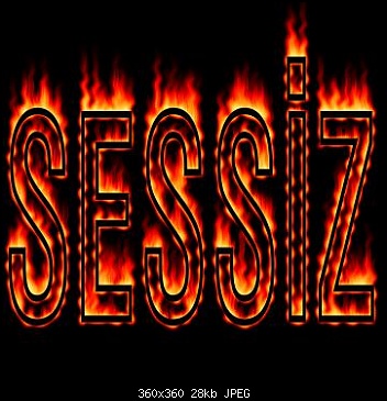 sessizsinn