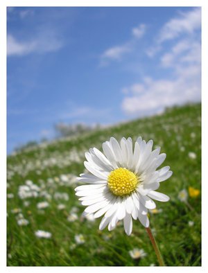 doğa