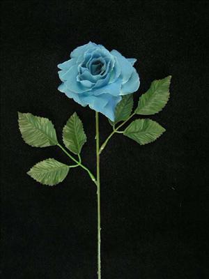 Rose teal