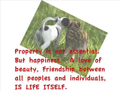 Friendship Thought
