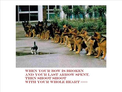 Words on Courage