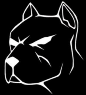 PİTBULL