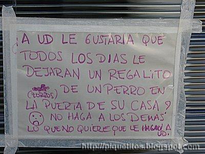 regalo