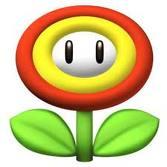 Fire Flower