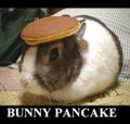 Bunny Pancake!