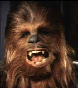 Wookie