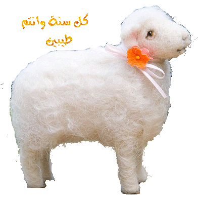 خروف لولو   مش للدبح