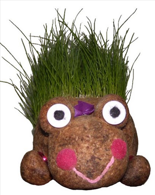 Boneka Kura-kura