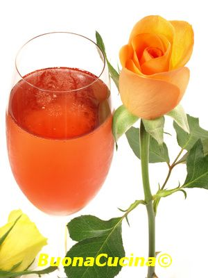 Rosa Arancio