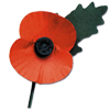 Poppy 2
