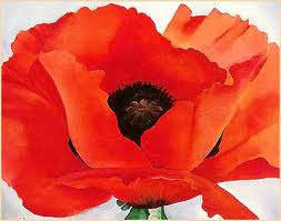 Poppy 4