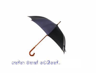 කුඩය