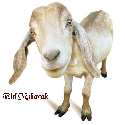 Bakra