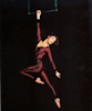 Trapecio Bruto