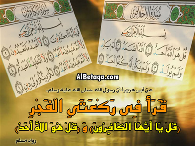 ما يقرا في سنة الفجر