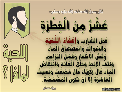وجوب اطلاق اللحية