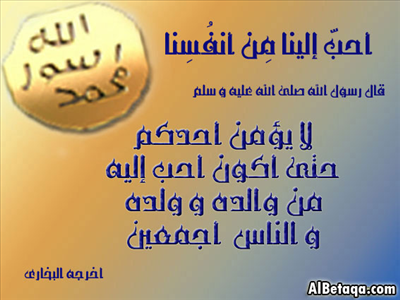 ما يصنع عند نزول المطر