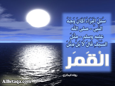 صفة وجه النبي صلى الله عليه وسلم