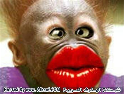 بوسه مضحكه