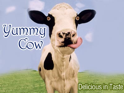 Yummy Cow