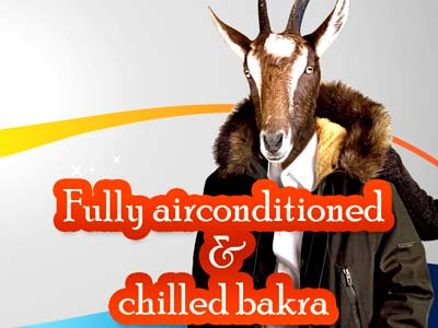 Full air-conditioned and chilled Bakra