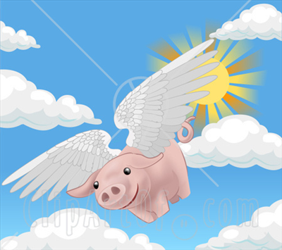 lucky piggy!