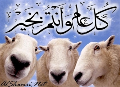 قبل تنشغل الخطوط والشبكه تصبح اخطبوط طوط طوط كل عيد وانت مبسوط