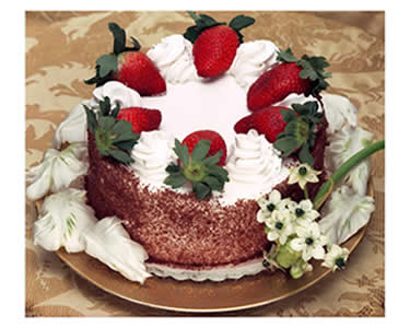  Cake 