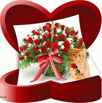 hediye