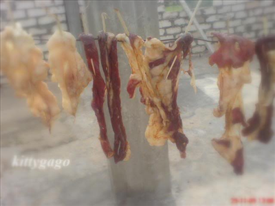 القديد