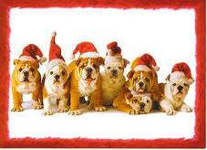 happy new year merry christmas