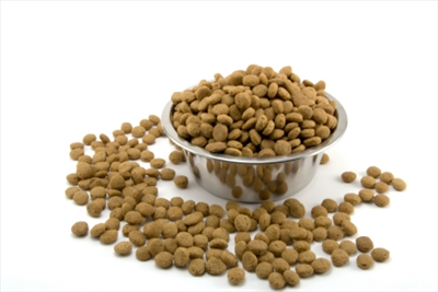 Cat food