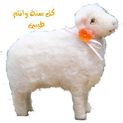 عديتك يا ايمي