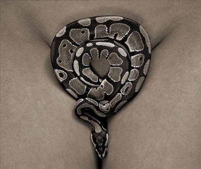 snake