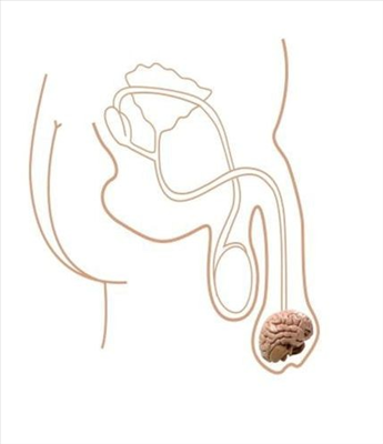 men 