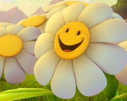 Beautiful Flower