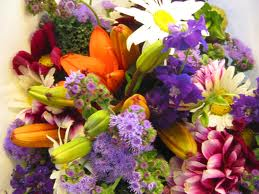Beautiful Flower