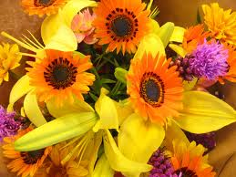 Beautiful Flower