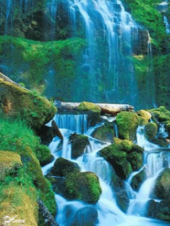 Peace and refreshing energy