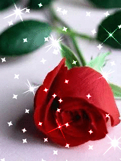 Thinking of you