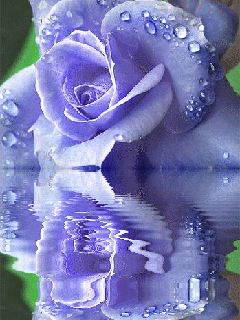 Peace, love and joy for you