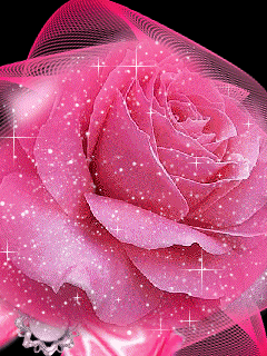 Love Rose