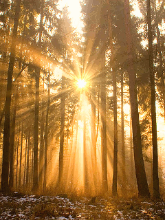 Blessed Morning